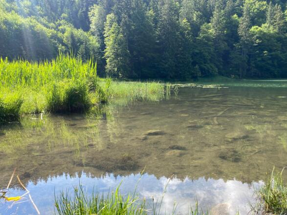 Filblingsee
