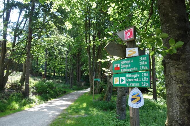 wir folgen immer dem Goldsteig