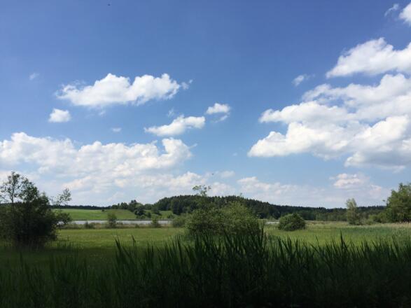 Harmatinger Weiher
