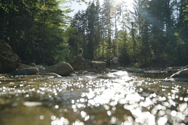 Idyllisches Steinbachtal oberhalb der Anzenbach-Mündung.