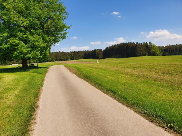 Weg von Gunzenham nach Halfing