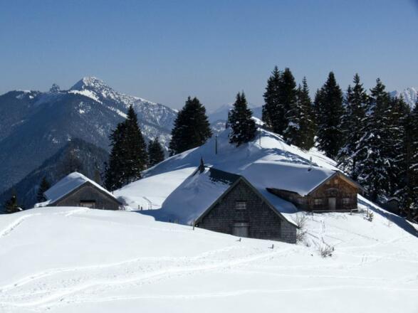 Bei der Abfahrt in die Sulz kommt man an der Sonnbergalm vorbei ...