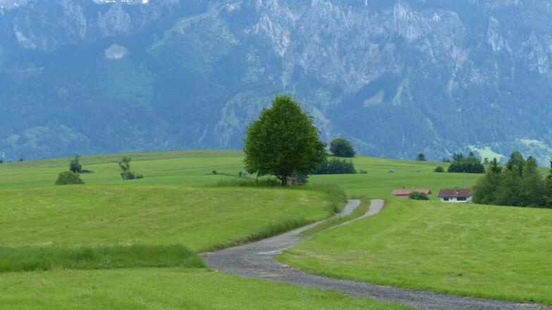 Wiesen und Wege mit den Bergen im Hintergrund