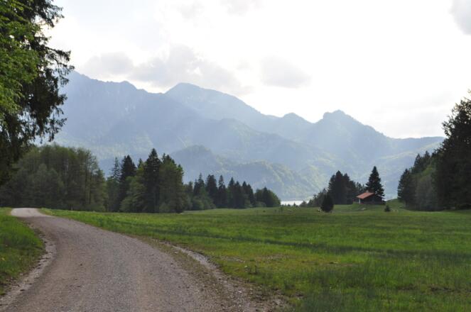 Gleich geschafft: über die Kohlleite geht es zum Kochelsee.