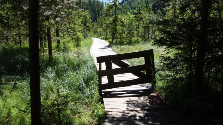 Durch dieses Gatter über den Steg