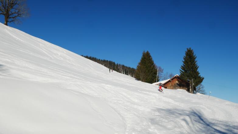 Untere Lauch Alpe