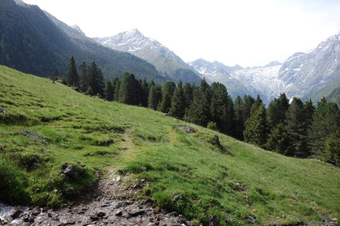 zuerst im Almgelände