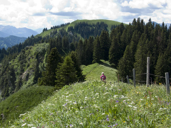 Beim Gipfelabstieg (hinten der Schönberg)