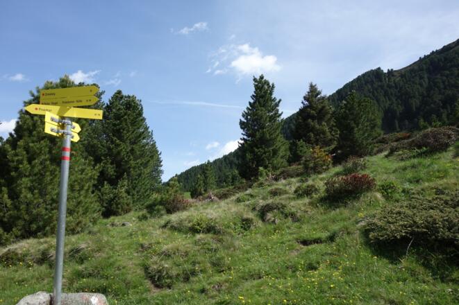 wir nehmen den rechten Steig, über den linken schließt sich dann beim Abstieg der Kreis