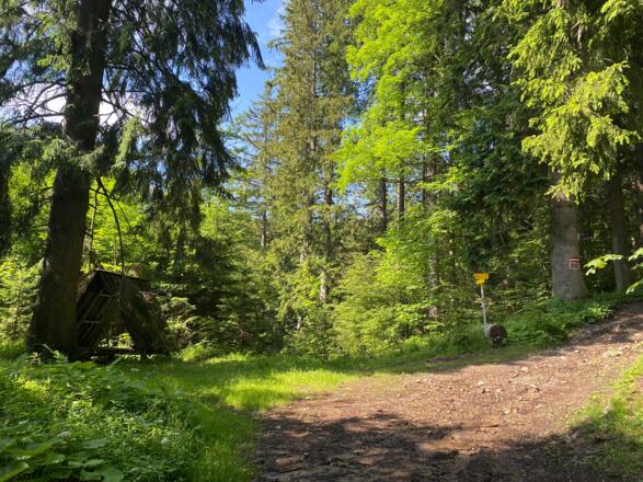 Abzweig zum Filblingsee zwischen Unterstand und Wegweiser