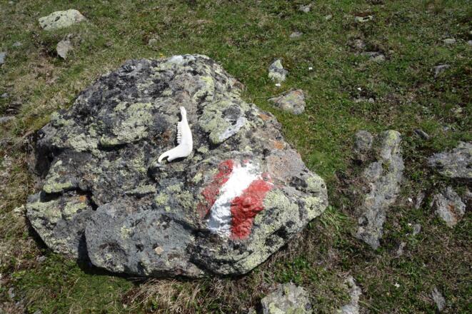 genug zum Trinken mitnehmen