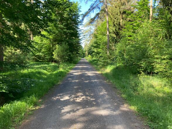 Weg vom Parkplatz aus
