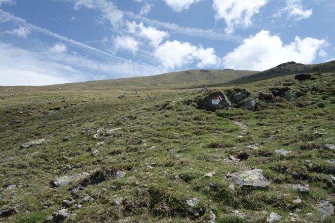 die weiten Flächen mit Polsterpflanzen von &quot;Auf dem Sömen&quot;
