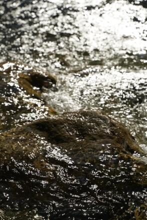 Wasserstand beachten! Nach Gewittern schwillt der Bach schnell an.