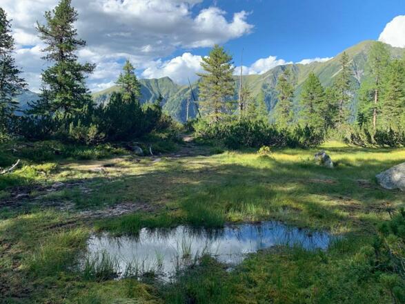 Moor-Landschaft auf einem Plateau, Richtung Reedsee
