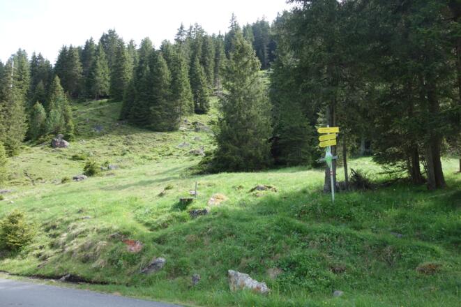 auf den Steig Richtung Roter Kogel