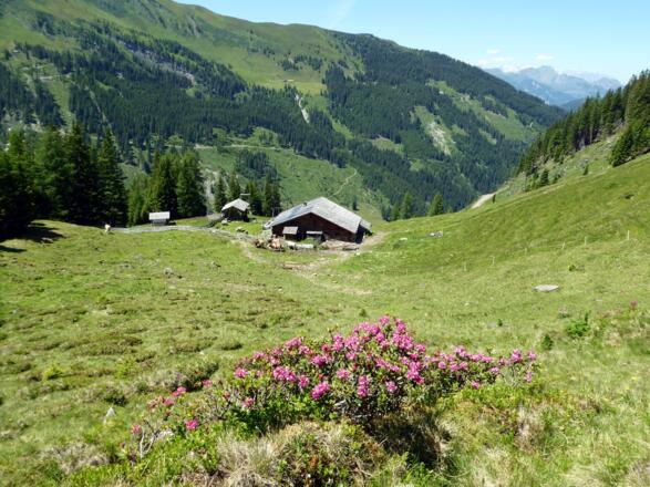 Die Hühnerkaralm.