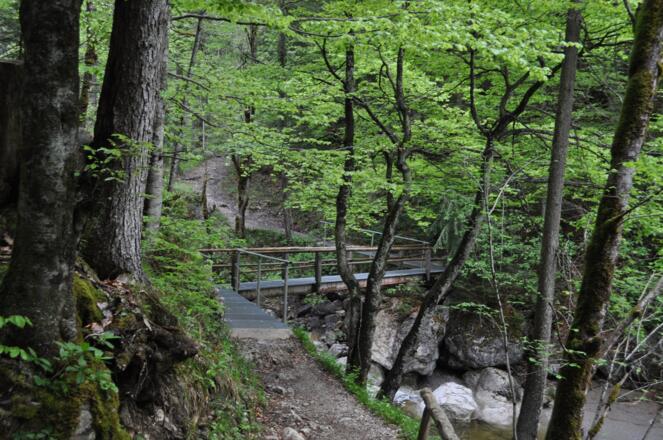 Der Weg ins Tal der großen Laine wurde aufwändig saniert.