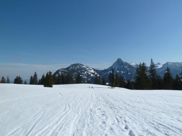 Pfrontner Alpe (1456 m) - Blick auf den Aggenstein im Winter