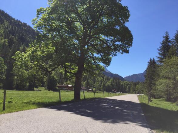Vor der Kaiserhütte in Rißtal