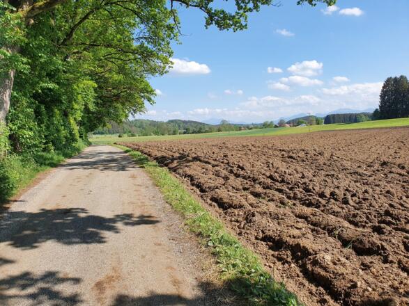 Weg südlich von Halfing