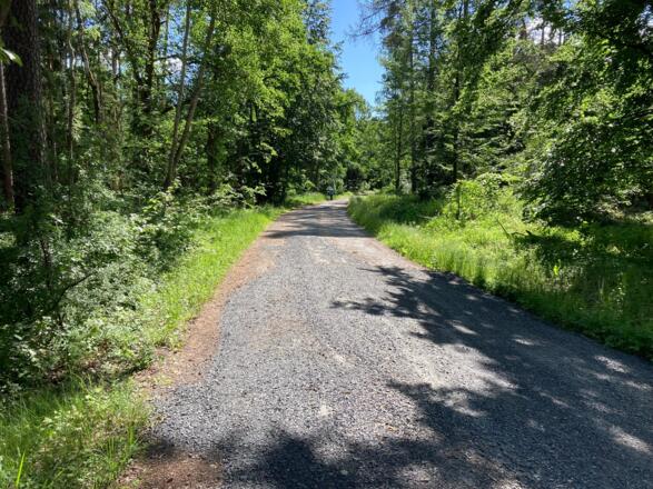 Auf der Wildfuhr ( Ehemalige Verbindungsstrasse )