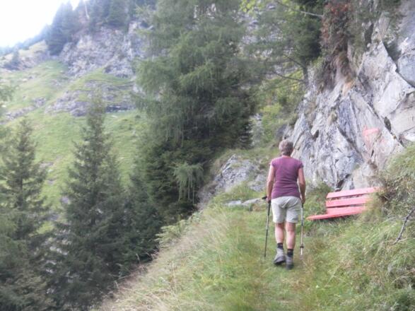 schöner Steilwaldanstieg