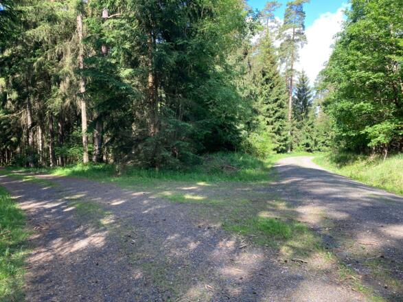 Steiler Abzweig nach links zur Wildfuhr