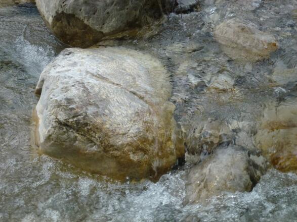 Korallenkalk in der Hofbauernweißach