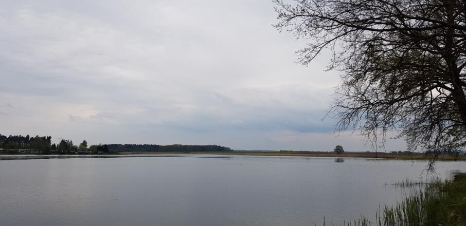 Am Kauerlacher Weiher