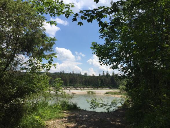 Isar