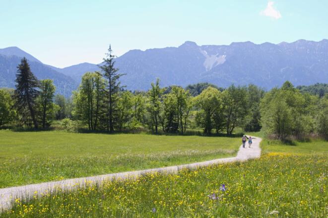 Rundwanderung Murnauer Moos