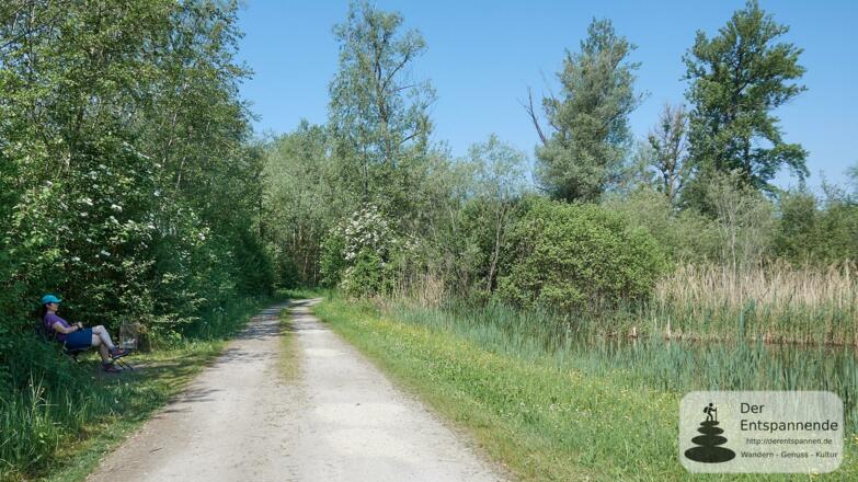 Innauen zwischen Egglfing und Aigen