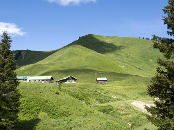 Blick über die Rauhalm zum Seekarkreuz