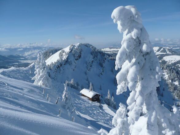 Das Staufner Haus im Winter