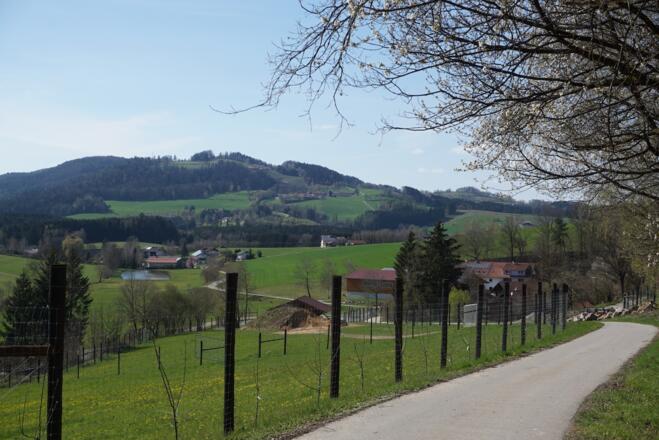 Blick zum Gallner