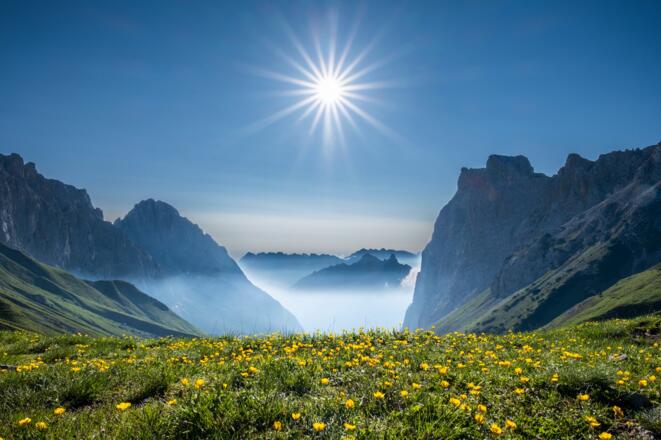 Durch bunte Almwiesen: Blick vom Scharnitzjoch zur Gehrenspitze (r.), jenseits der Leutasch ragen die Arnspitzen aus dem Morgendunst.