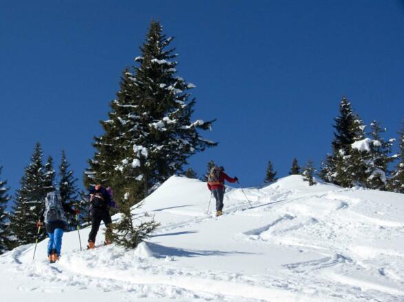 Der Gipfel ist fast erreicht.