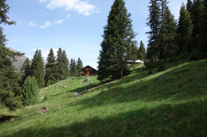 die Aflingeralm lassen wir links liegen