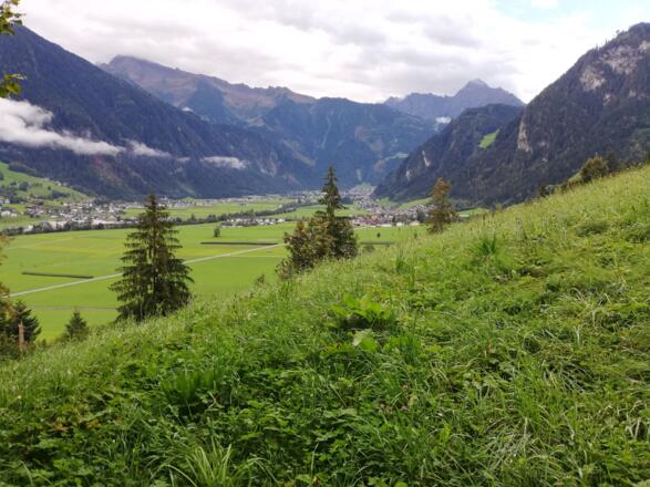 Blick auf Mayerhofen