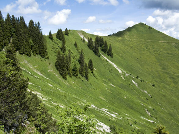Beim Übergang zum Maria Eck sieht man über die Feile zum Seekarkreuz zurück.