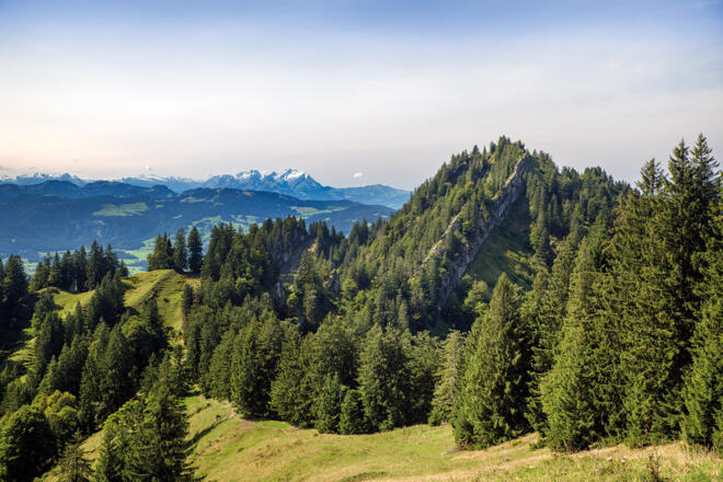 Blick vom Falken zum Hochhäderich
