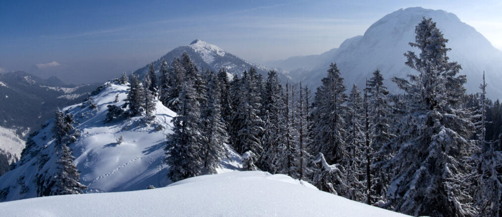 Zum mächtigen Klotz des Gufferts ist auch nicht weit hinüber, aber diese Skitour heben wir uns für den Mai auf ...