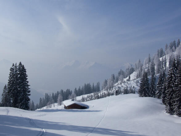 Der letzte freie Blick auf den Hochleger, bevor man sich im Unterholz plagen muss.