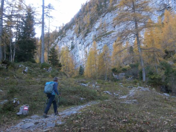unter der Tiergartenhütte