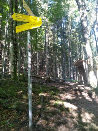 Im Sattel stößt der Königssteig vom Kolbensattel hinzu, ab hier wird die Wanderung etwas steiler und felsiger.