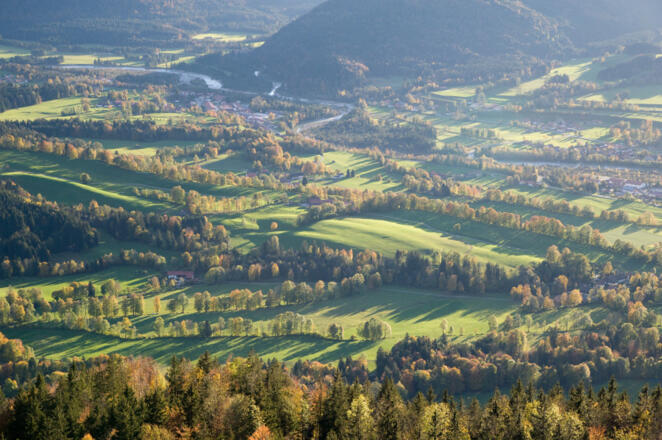 Die Lenggrieser Haglandschaft mit ihren charakteristischen Baumreihen