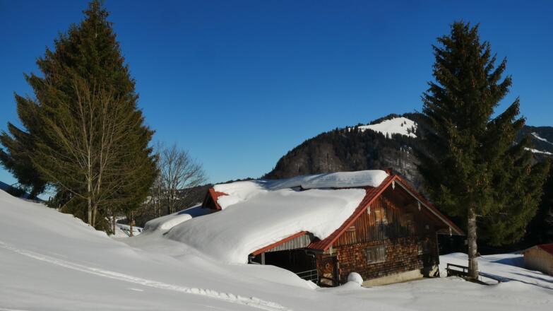 Untere Lauch Alpe