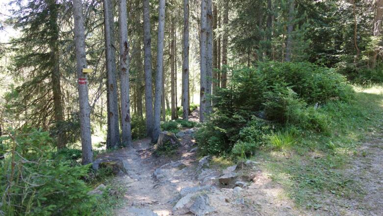 in wenigen Minuten am See