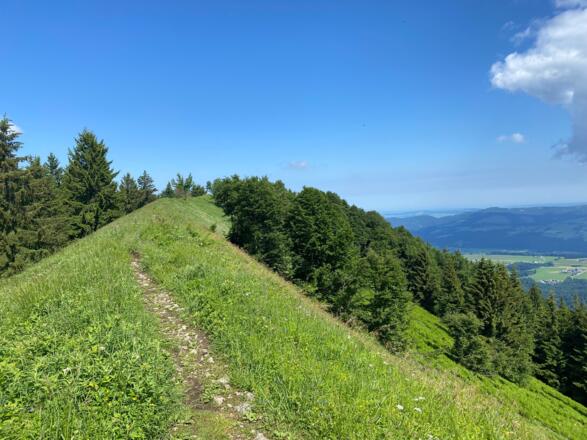 Gipfelschneid mit Blick zum Gipfelkreuz